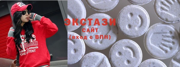 СК Алексин