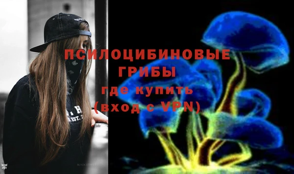 крисы Алзамай