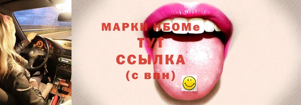 СК Алексин