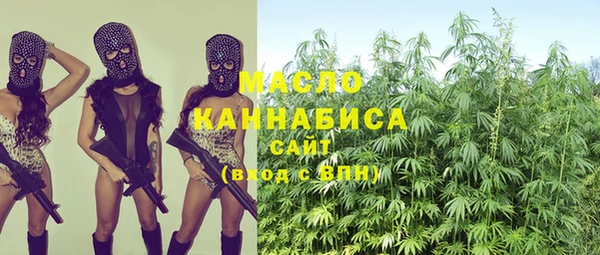 крисы Алзамай