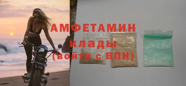 крисы Новозыбков
